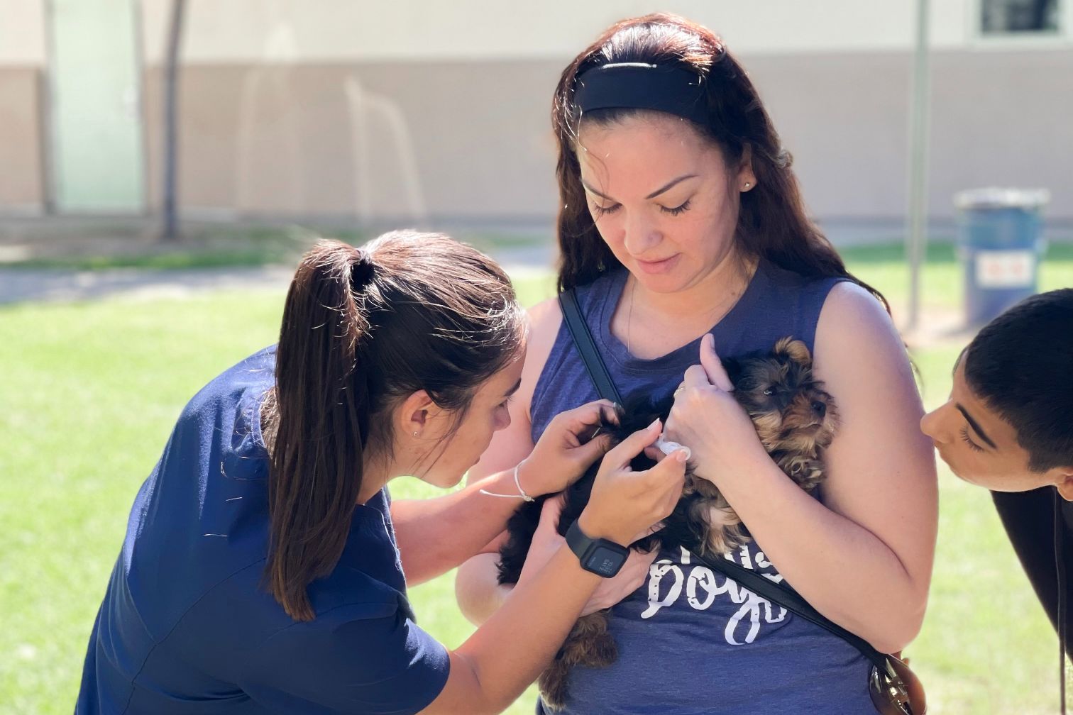 Volunteer Vet Care Pet Clinic